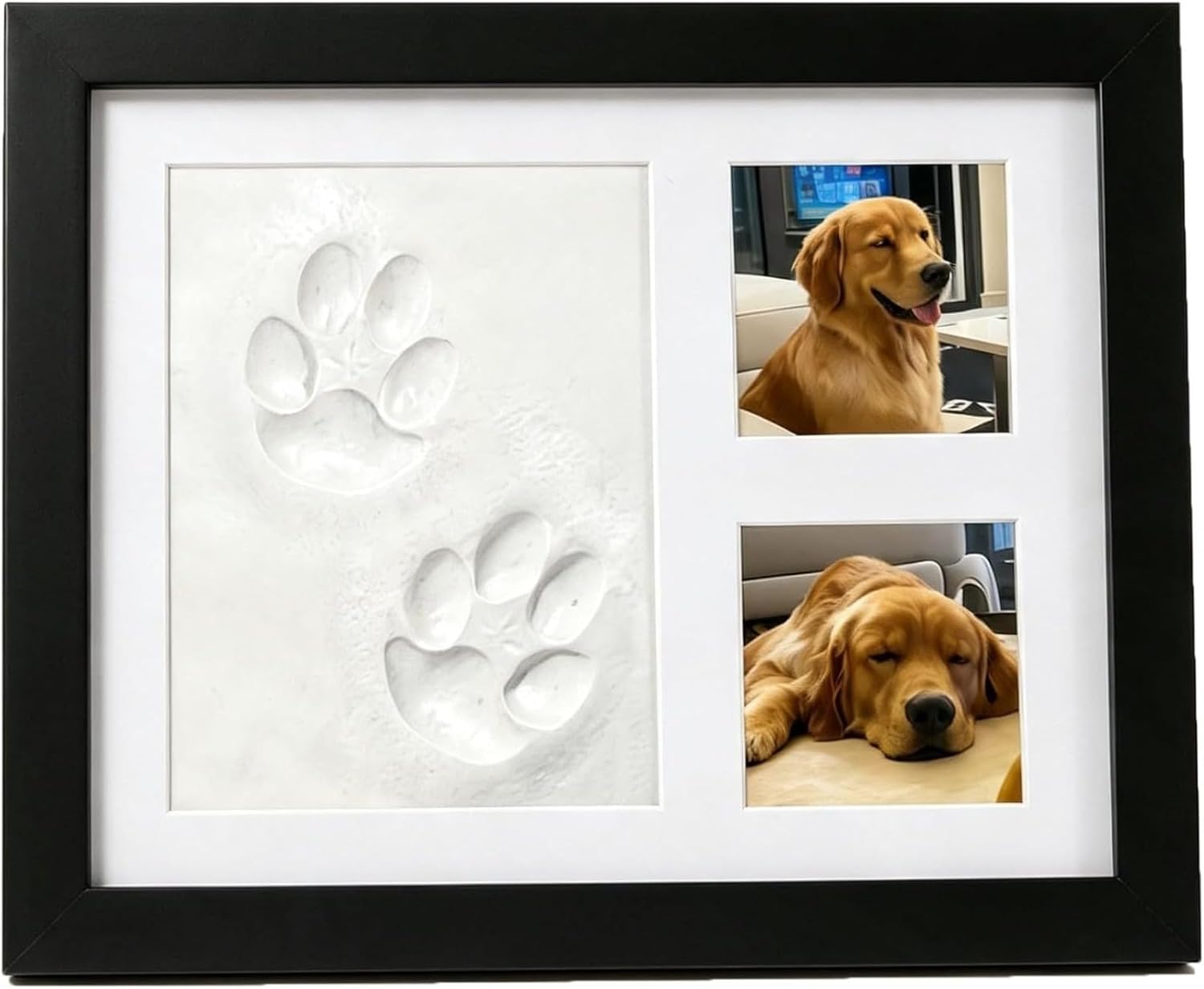 DIY Pet Paw Print Memorial Kit - огляд і ціна Photographic Memory